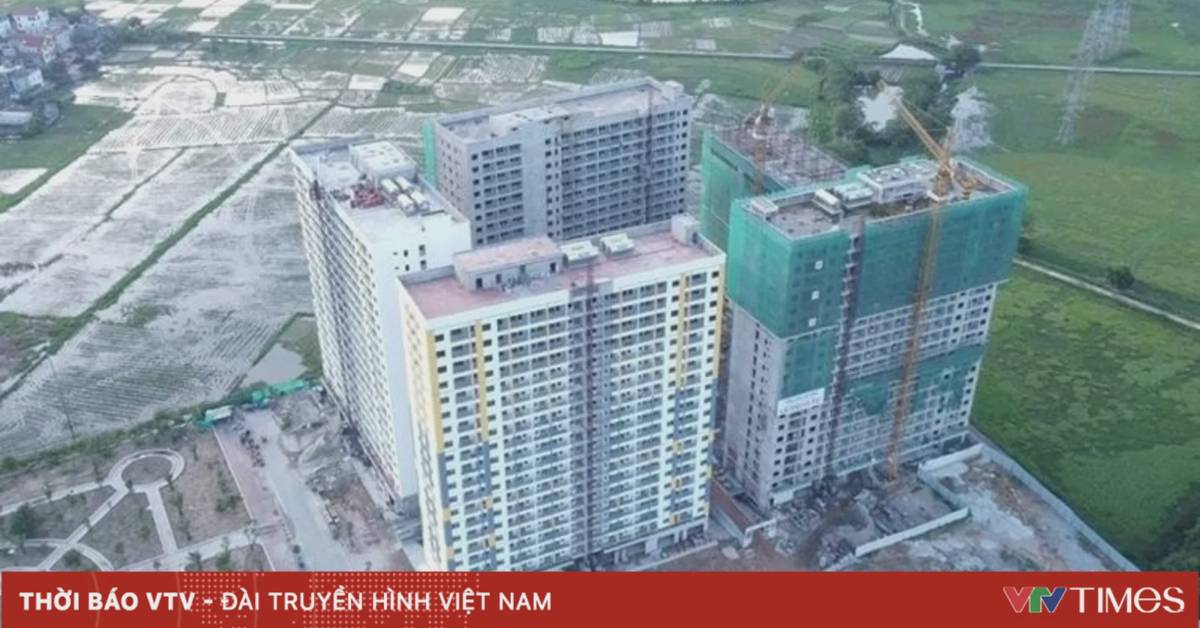 Thúc đẩy mạnh phát triển nhà ở cho thuê giá phù hợp