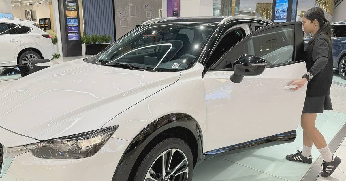 Đằng sau con số người Việt mua ô tô điện nhiều thứ hai Đông Nam Á