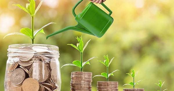38 doanh nghiệp đồng loạt chốt quyền trả cổ tức, xuất hiện mức chi trả hiếm thấy 100%
