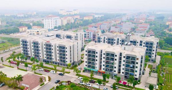 Chính phủ ra chỉ đạo mới: Các địa phương phải dành quỹ đất làm nhà ở cho thuê