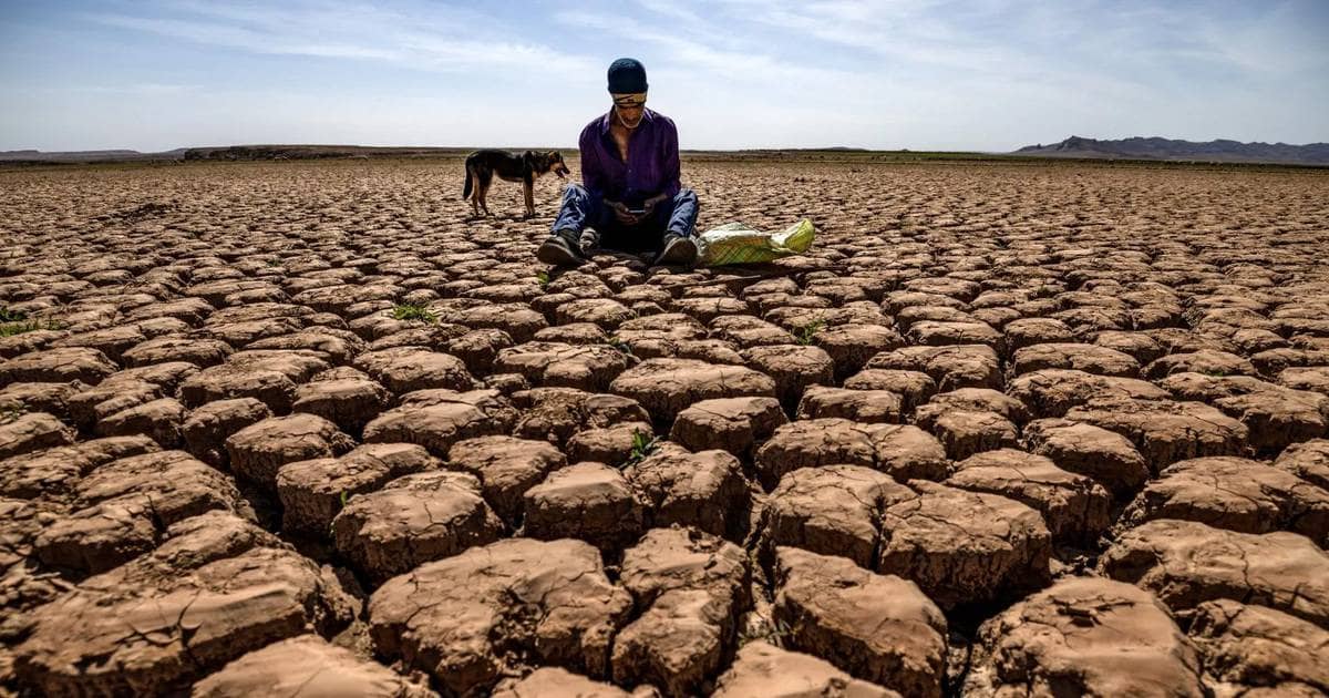 Siêu El Nino rình rập: Giá điện, kim loại, lương thực có nguy cơ bùng nổ