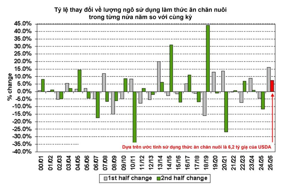 Tại sao những báo cáo định kỳ của Bộ Nông nghiệp Hoa Kỳ (USDA) lại có thể khiến thị trường đảo lộn ngay cả khi không có một "cú sốc" lớn nào?