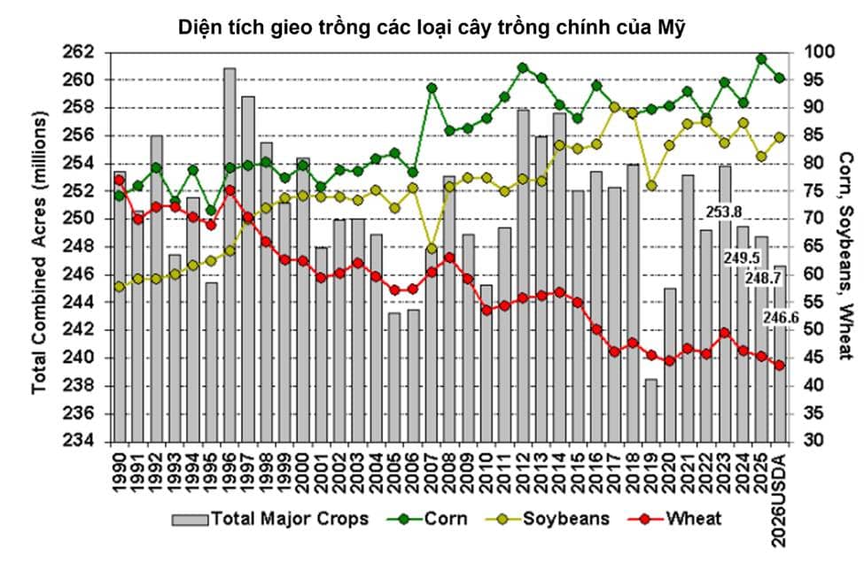 Tại sao những báo cáo định kỳ của Bộ Nông nghiệp Hoa Kỳ (USDA) lại có thể khiến thị trường đảo lộn ngay cả khi không có một "cú sốc" lớn nào?