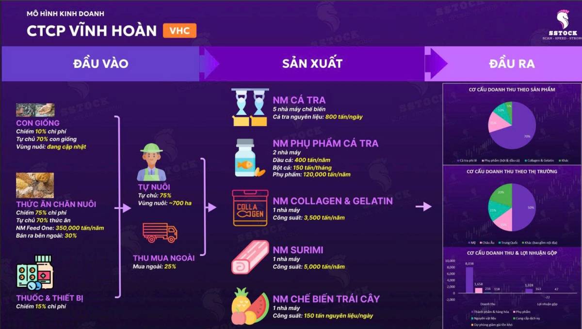 Cùng phân tích cổ phiếu VHC sau hành động mua cổ phiếu quỹ của chính mình. 1. Tổng quan doanh nghiệp.  ...