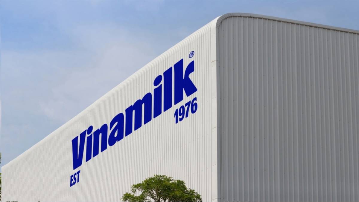 Vinamilk (VNM) Và Điểm Rơi Lợi Nhuận 2026: Những Đại Dự Án Nghìn Tỷ Sắp Về Đích