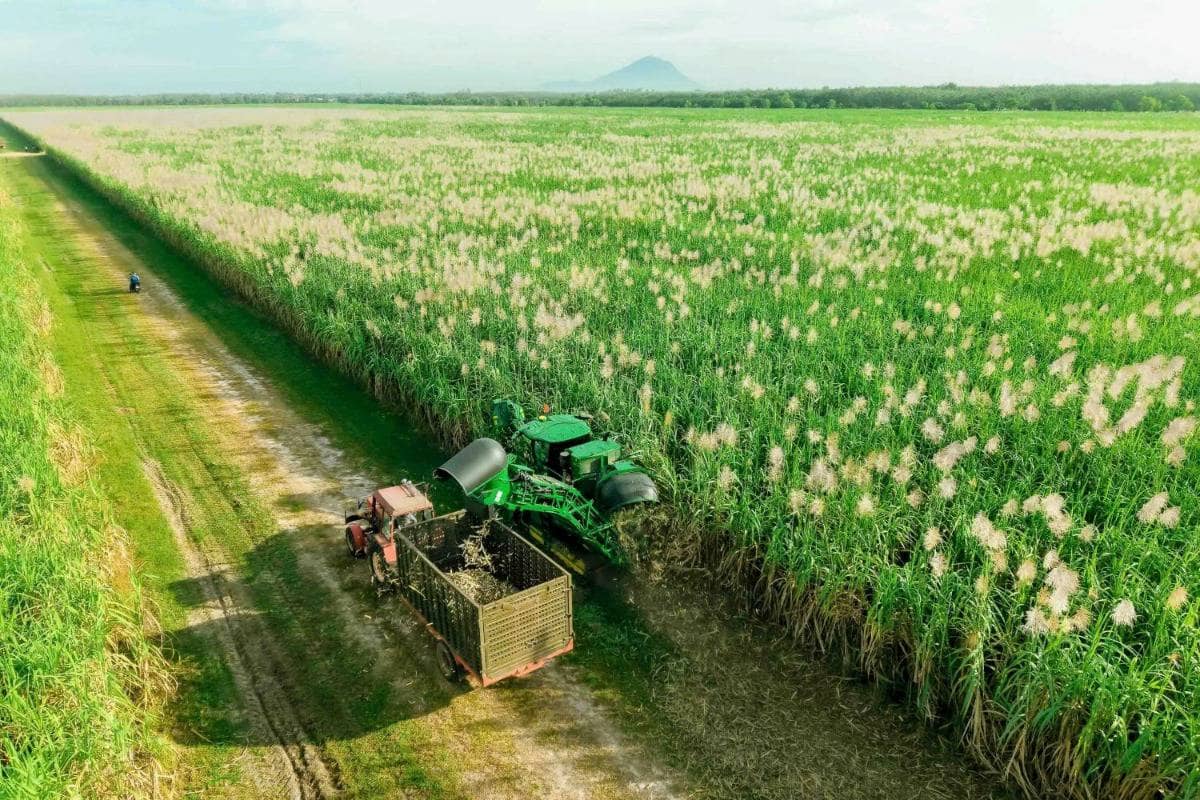Nghị quyết 79: Đòn bẩy chiến lược khơi thông hệ sinh thái Công - Tư đồng hành