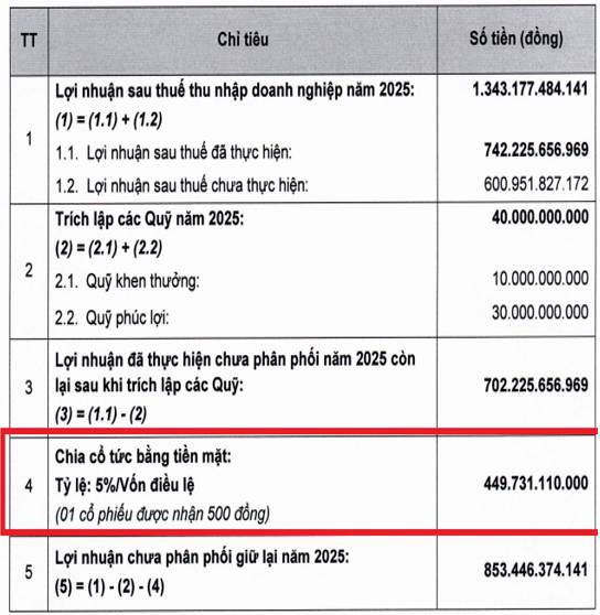SHS - Cập nhật và phân tích kế hoạch kinh doanh 2026