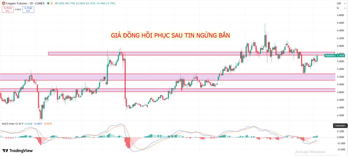 Dòng tiền đang ở nhóm sản phẩm nào sau lệnh ngừng bắn?
