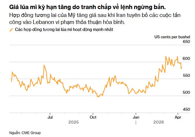 Cơ hội đầu tư lúa mì nổi lên khi bất ổn địa chính trị và rủi ro nguồn cung gia tăng