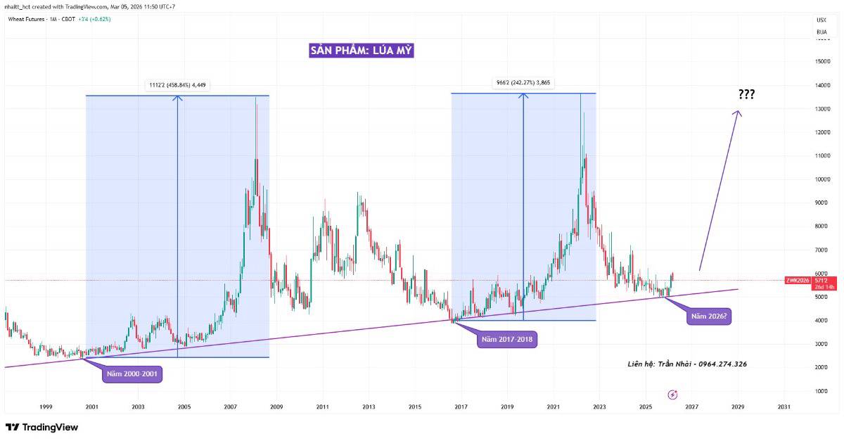 Cơ hội đầu tư lúa mì nổi lên khi bất ổn địa chính trị và rủi ro nguồn cung gia tăng