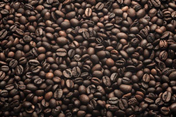 Thị trường cà phê ngày 10/4: Lực mua đã quay trở lại sau giai đoạn bán tháo