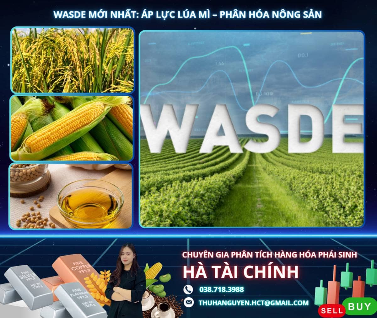 WASDE MỚI NHẤT: ÁP LỰC LÚA MÌ – PHÂN HÓA NÔNG SẢN. Báo cáo WASDE vừa công bố đang tạo ra những tín hiệu  ...