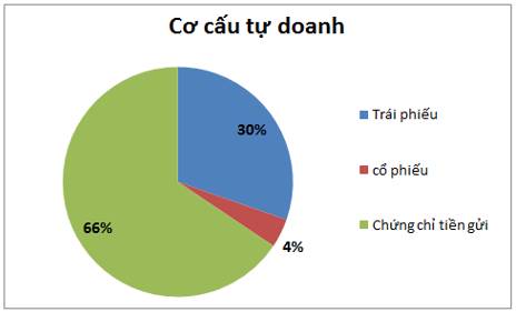 SSI: Cập nhật tờ trình ĐHCĐ 2026 – Kế hoạch thận trọng