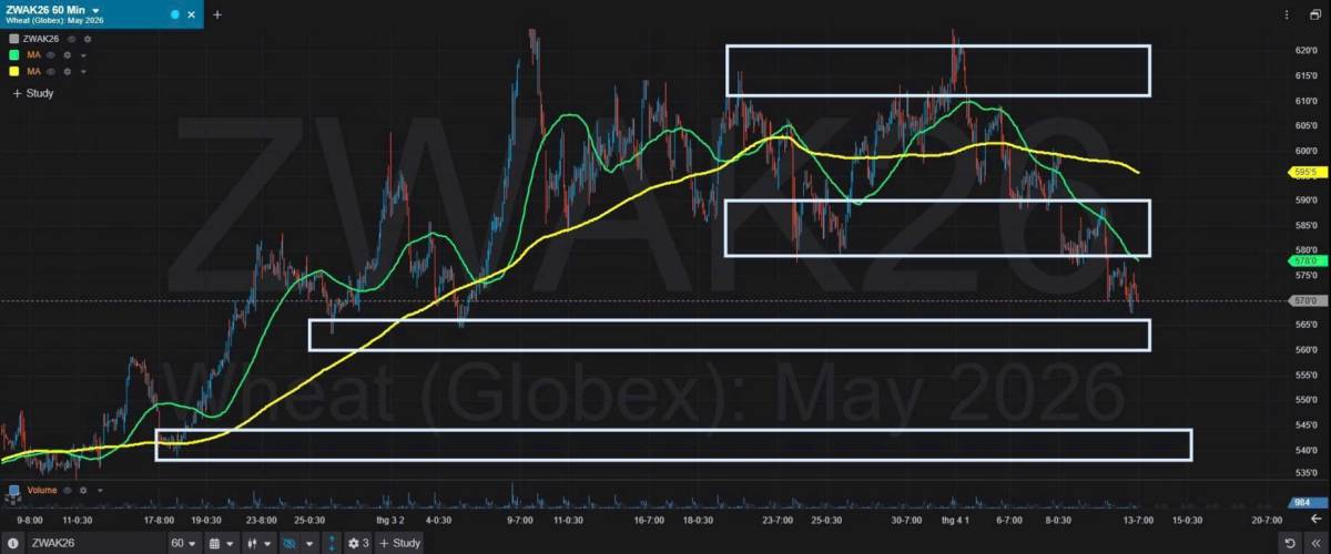 Bản Tin Nhóm Nông Sản Ngày 13/04/2026. LÚA MÌ. TIN TỨC. Theo các nhà giao dịch, giá lúa mì kỳ hạn trên  ...