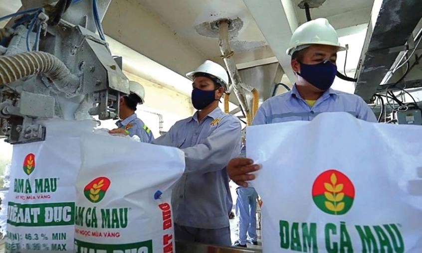 Báo cáo phân tích: DCM 2026 – Vị Thế Chiến Lược Và Khả Năng Bứt Phá Kế Hoạch Lợi Nhuận Trước Biến Động Vĩ Mô Tại Trung Đông