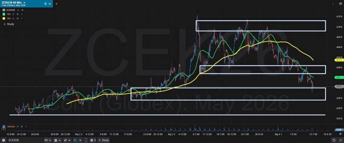 Bản Tin Nhóm Nông Sản Ngày 13/04/2026. LÚA MÌ. TIN TỨC. Theo các nhà giao dịch, giá lúa mì kỳ hạn trên  ...