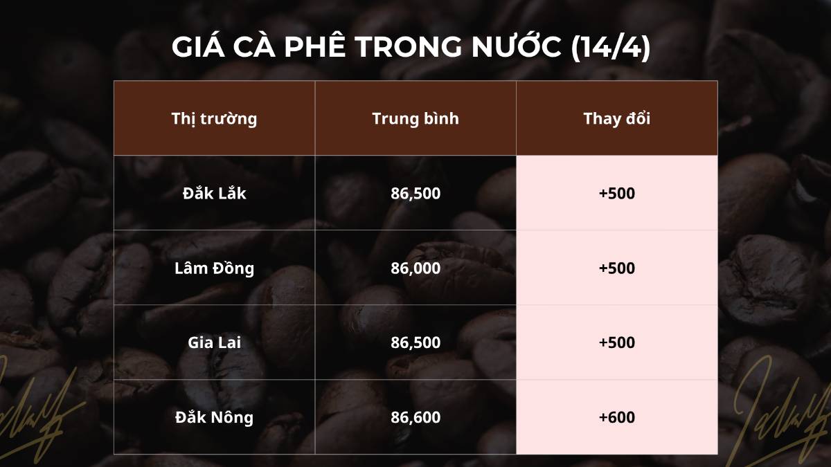 Giá cà phê 14/4 nhích tăng, nhưng thị trường vẫn chưa có sự bứt phá