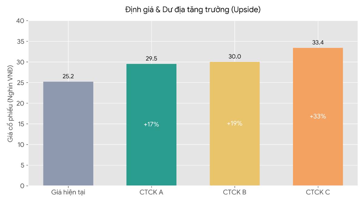 HDBank (HDB) - "Vua hạn mức" và nghệ thuật đi trên dây kép: đánh đổi để bứt phá?