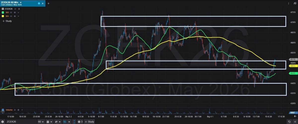 Bản Tin Nhóm Nông Sản Ngày 16/04/2026. LÚA MÌ. TIN TỨC. Theo các nhà giao dịch, giá lúa mì kỳ hạn của  ...