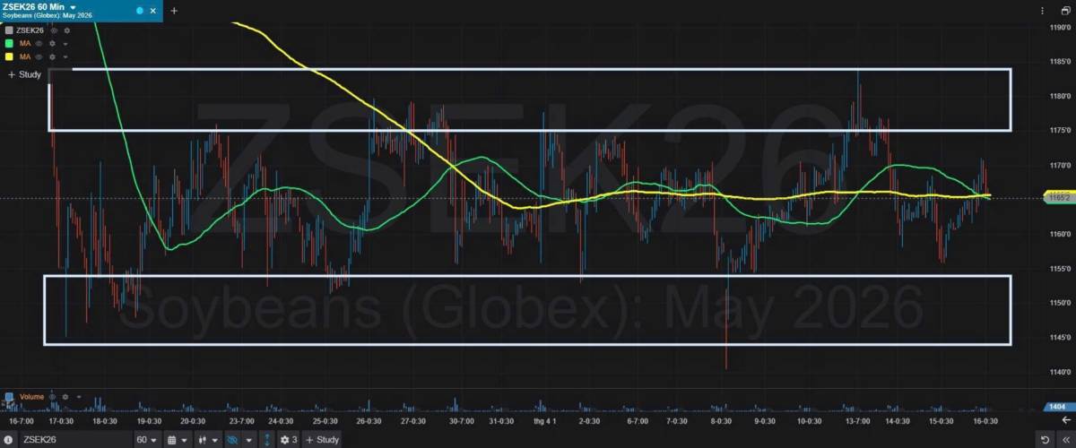 Bản Tin Nhóm Nông Sản Ngày 16/04/2026. LÚA MÌ. TIN TỨC. Theo các nhà giao dịch, giá lúa mì kỳ hạn của  ...