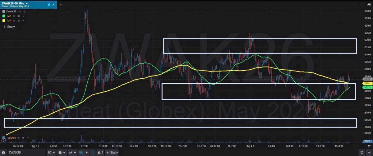 Bản Tin Nhóm Nông Sản Ngày 16/04/2026. LÚA MÌ. TIN TỨC. Theo các nhà giao dịch, giá lúa mì kỳ hạn của  ...