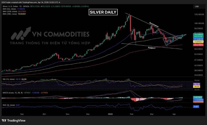6 Năm Thiếu Hụt: Vì Sao Bạc Có Thể Bùng Nổ Trở Lại Bất Cứ Lúc Nào