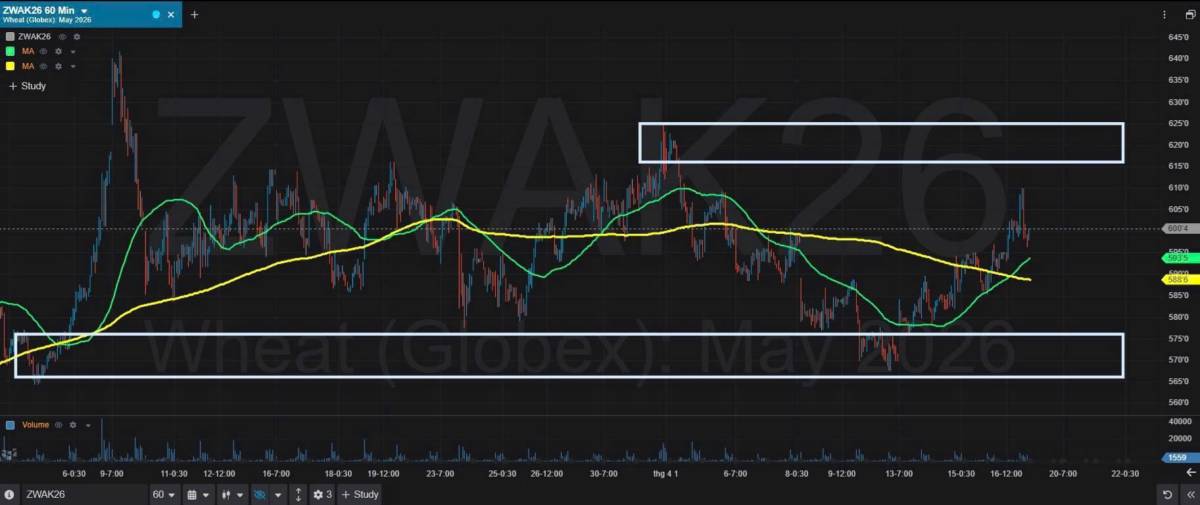 Bản Tin Nhóm Nông Sản Ngày 17/04/2026. LÚA MÌ. TIN TỨC. Giá lúa mì kỳ hạn tăng hơn 2% lên 6,07 USD/bushel,  ...