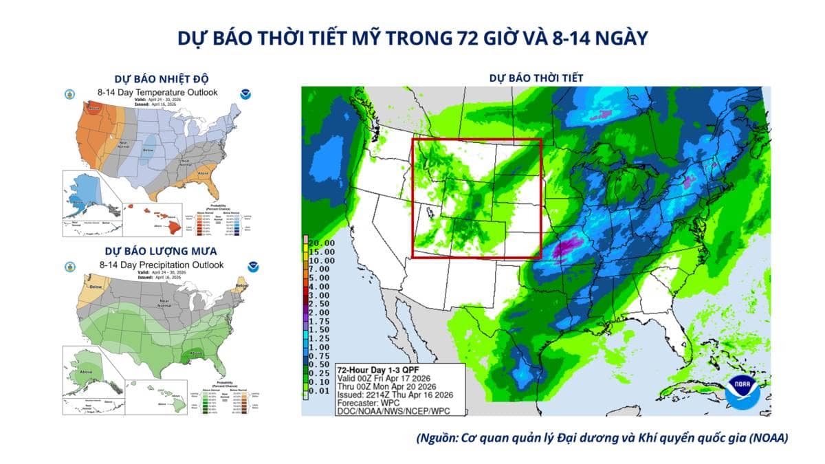 Lúa mì tăng giá, nguồn cung đối mặt rủi ro