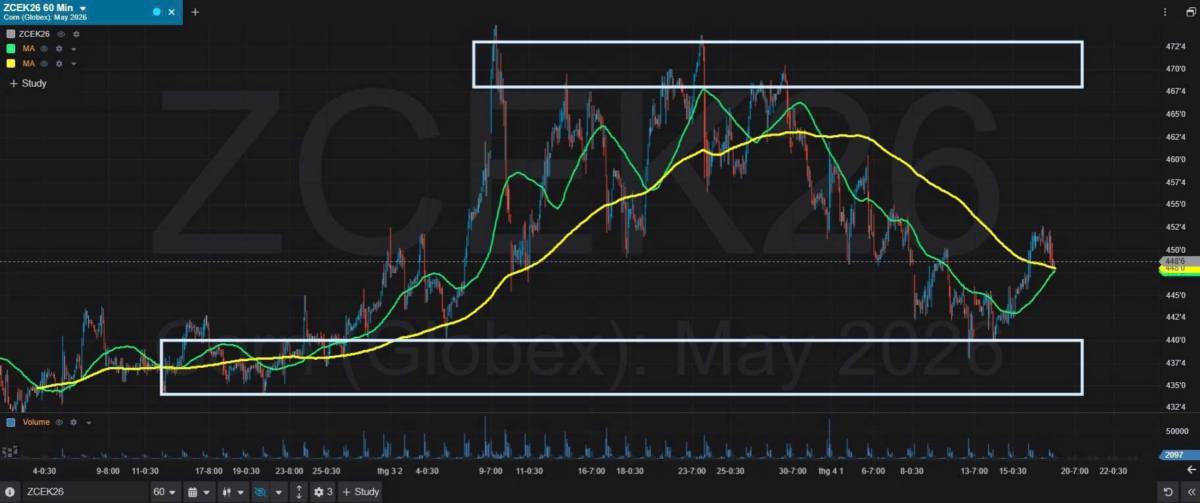Bản Tin Nhóm Nông Sản Ngày 17/04/2026. LÚA MÌ. TIN TỨC. Giá lúa mì kỳ hạn tăng hơn 2% lên 6,07 USD/bushel,  ...