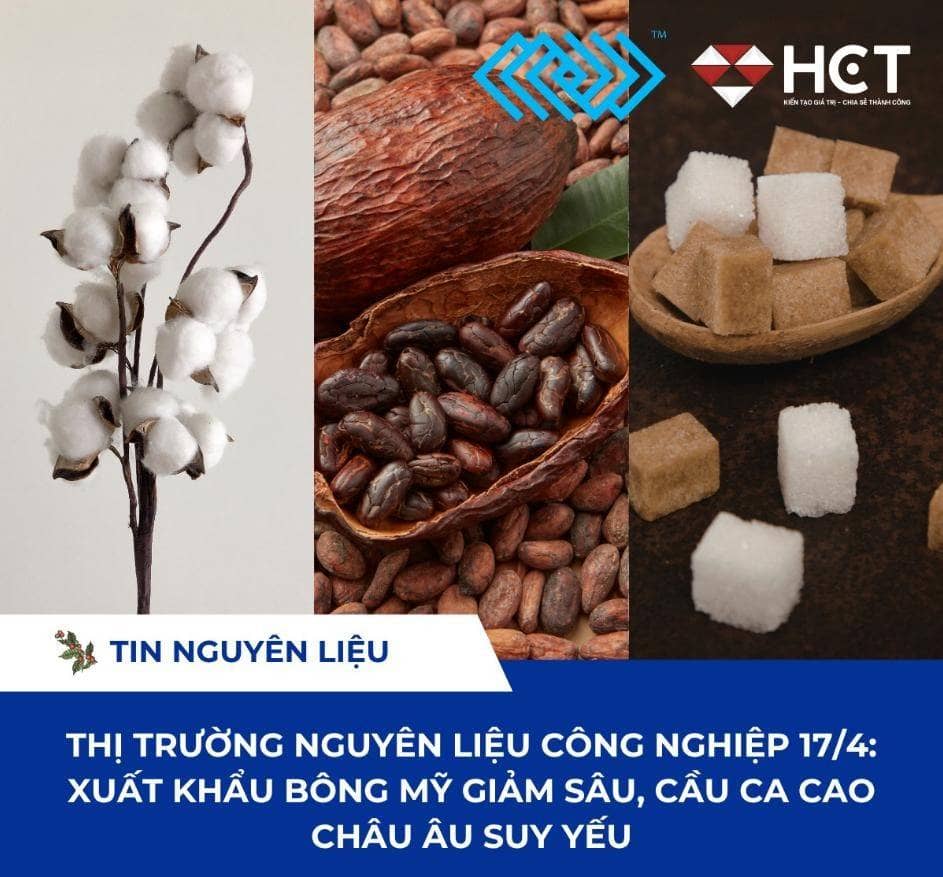 Xuất khẩu Bông Mỹ giảm sâu, cầu Ca cao châu Âu suy yếu