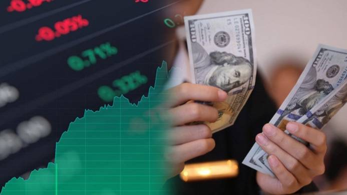 Khi Vịnh Tránh Bão USD Lặng Sóng: Cơ Hội Nào Cho Thị Trường Chứng Khoán Việt Nam?