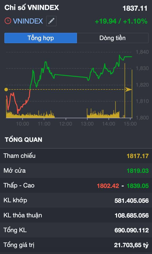 VN-Index bứt phá +20 điểm...nhưng tiền ở đâu? "Sóng thật" hay chỉ là cú kéo trụ trước nghỉ lễ?