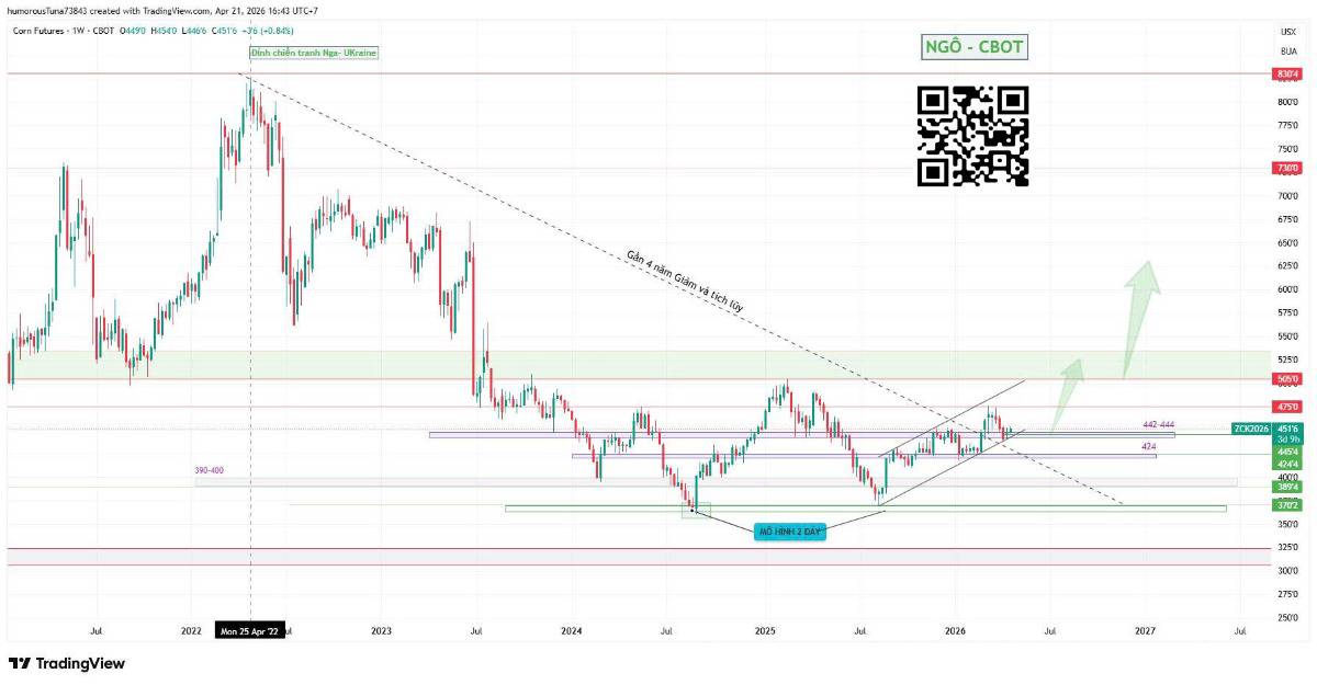 Căng thẳng địa chính trị kéo dài: Nông sản thiết yếu như Ngô thu hút sự quan tâm đặc biệt của giới đầu tư