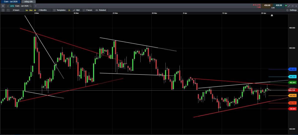 Cơ hội canh mua ngô ngay bây giờ