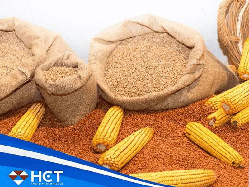 Căng thẳng địa chính trị kéo dài: Nông sản thiết yếu như Ngô thu hút sự quan tâm đặc biệt của giới đầu tư