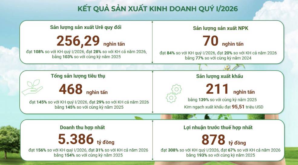 ĐHĐCĐ DCM 2026: Khát Vọng Tổng Công Ty Và Bước Ngoặt Chuỗi Giá Trị Nông Nghiệp Mới