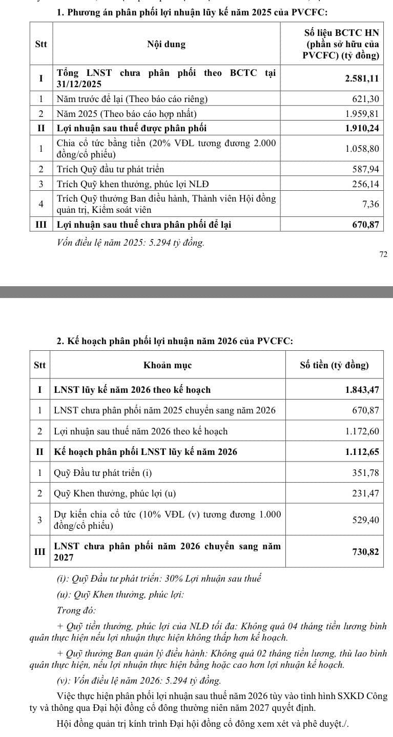 ĐHĐCĐ DCM 2026: Khát Vọng Tổng Công Ty Và Bước Ngoặt Chuỗi Giá Trị Nông Nghiệp Mới