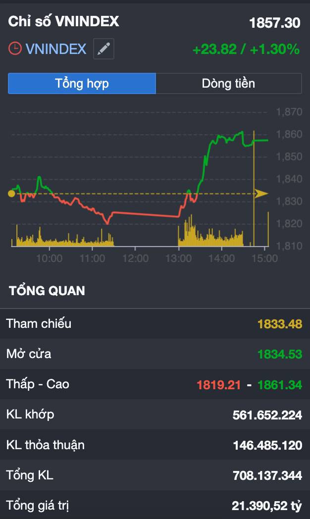 VN-Index +24 điểm nhưng 90% cổ phiếu "đứng hình"? Cú tăng nguy hiểm hay cơ hội ngầm?