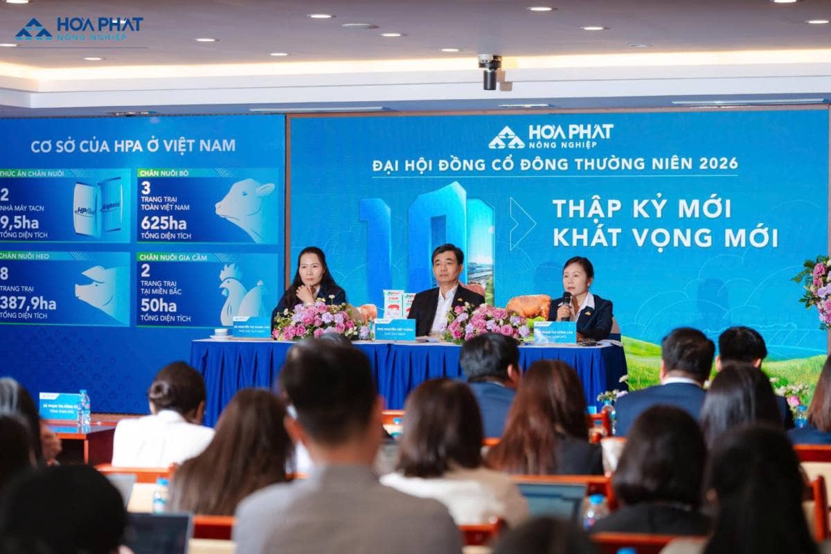 Nông nghiệp Hòa Phát bước vào năm 2026 với chiến lược thận trọng: chăn nuôi heo tiếp tục là trụ cột  ...