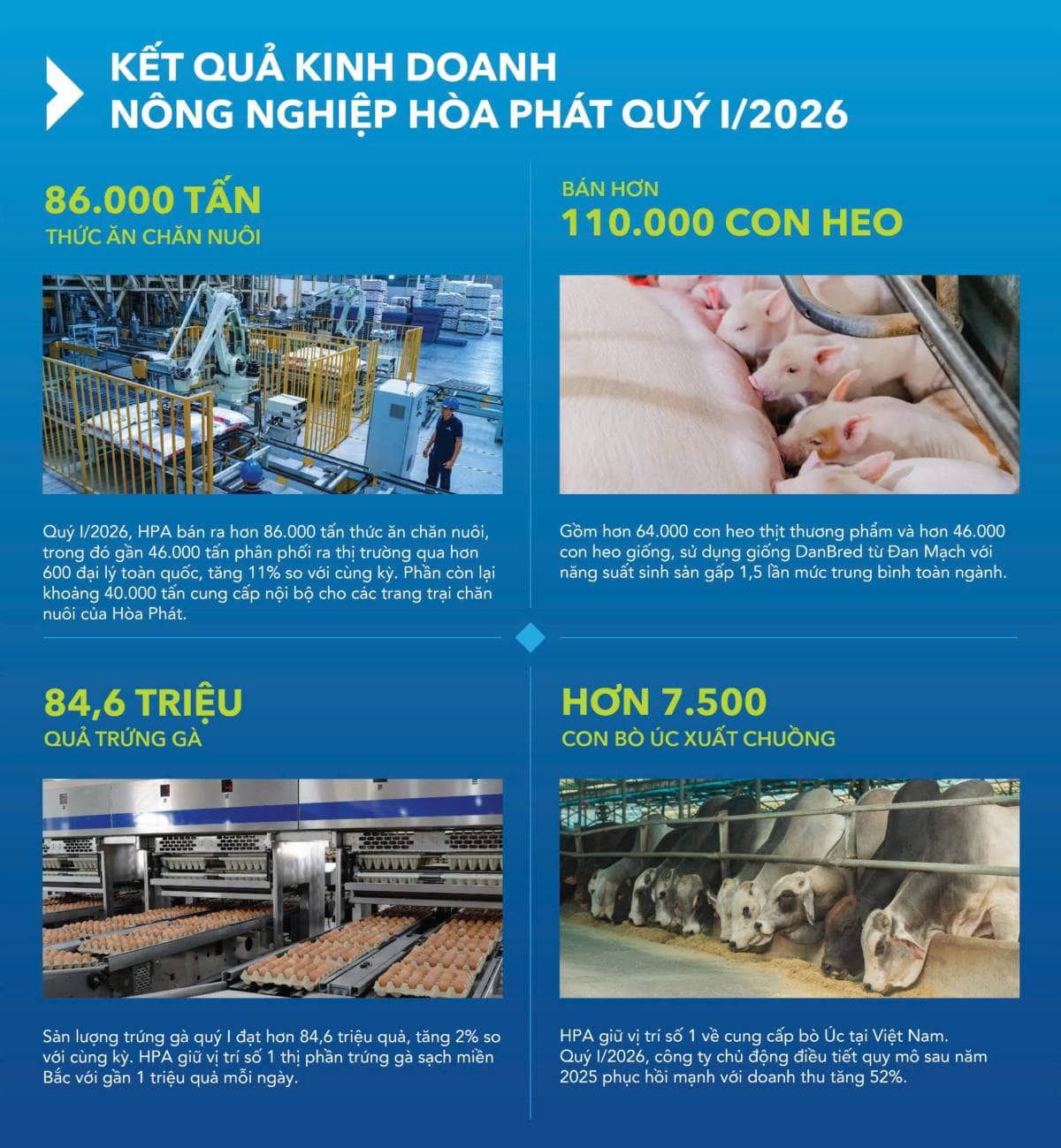 Nông nghiệp Hòa Phát bước vào năm 2026 với chiến lược thận trọng: chăn nuôi heo tiếp tục là trụ cột  ...