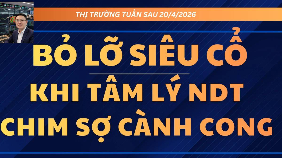 Nỗi lo sợ của nhà đầu tư cá nhân và quy luật lập lại mỗi chu kỳ