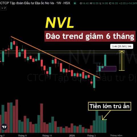 Xây dựng CTD - bất động sản NVL: cặp song sát mạnh mẽ