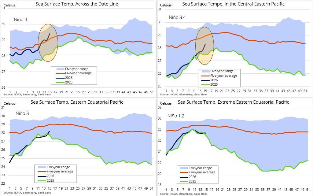 Chiến tranh, phân bón, thời tiết El-nino : Cú sốc sắp tới đối với nguồn cung lương thực toàn cầu