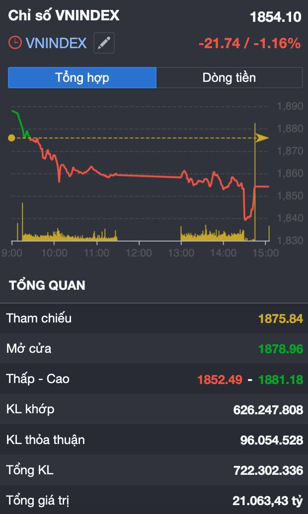 VN-Index giảm hơn 21 điểm: "Sập vì trụ" hay dấu hiệu dòng tiền đang âm thầm tạo sóng mới?