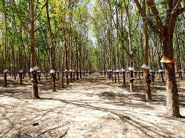 Ngành hưởng lợi từ xung đột với KQKD tăng đột biến