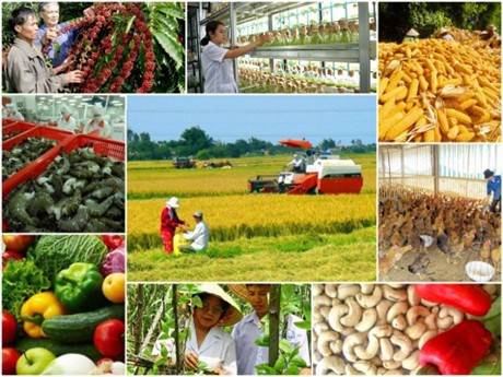 Cổ phiếu tiềm năng chạy riêng lẻ?. VNI đang sideway nhưng vẫn có CP tiềm năng chạy riêng lẻ, đi ngược  ...