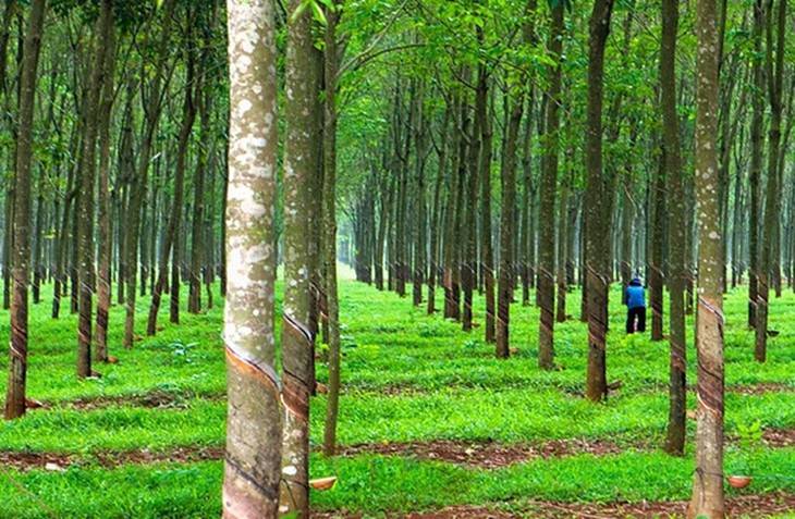 Ngành hội tụ nhiều yếu tố tăng trưởng