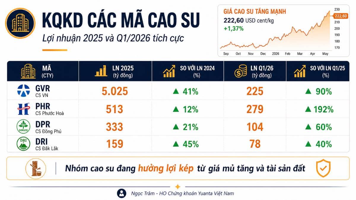 Ngành Cao Su: Khi Giá Hàng Hóa, Quỹ Đất Và Dòng Tiền Cùng Hội Tụ