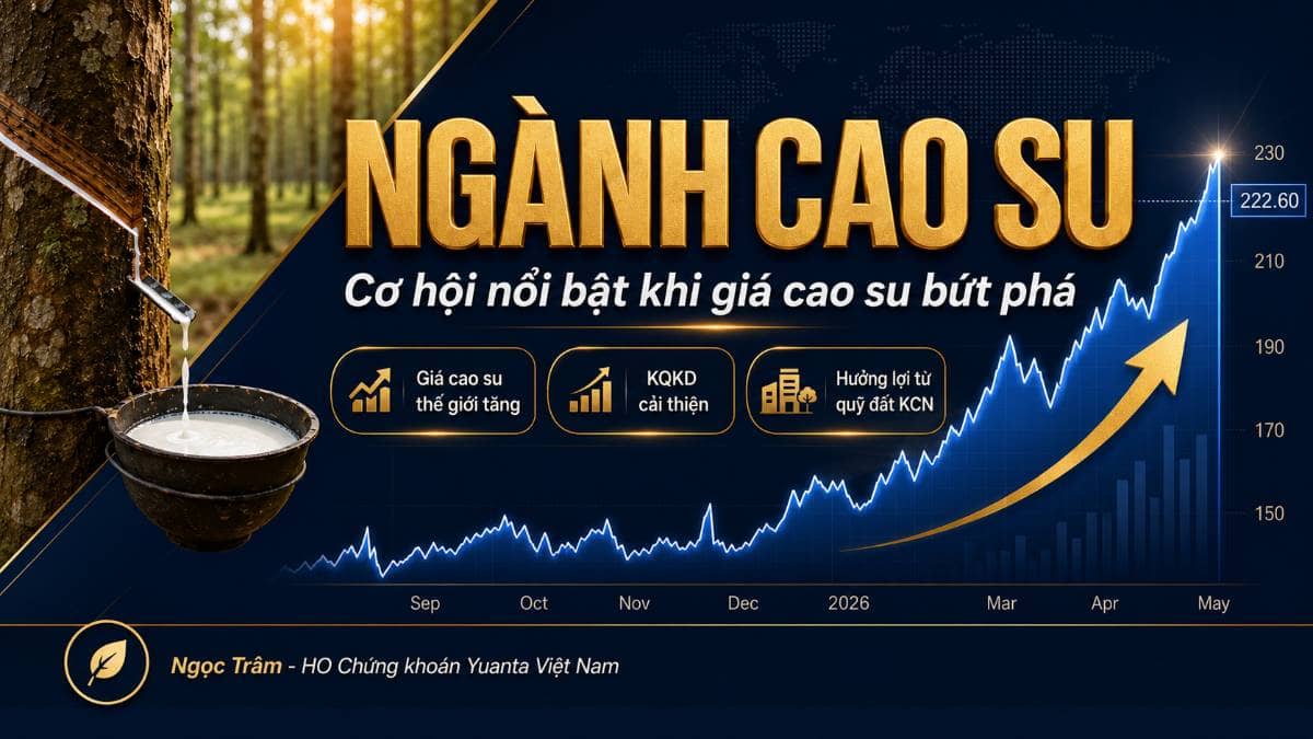 Ngành Cao Su: Khi Giá Hàng Hóa, Quỹ Đất Và Dòng Tiền Cùng Hội Tụ