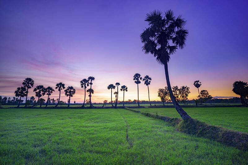 Chứng khoán đã khiến bạn trở thành người như thế nào?